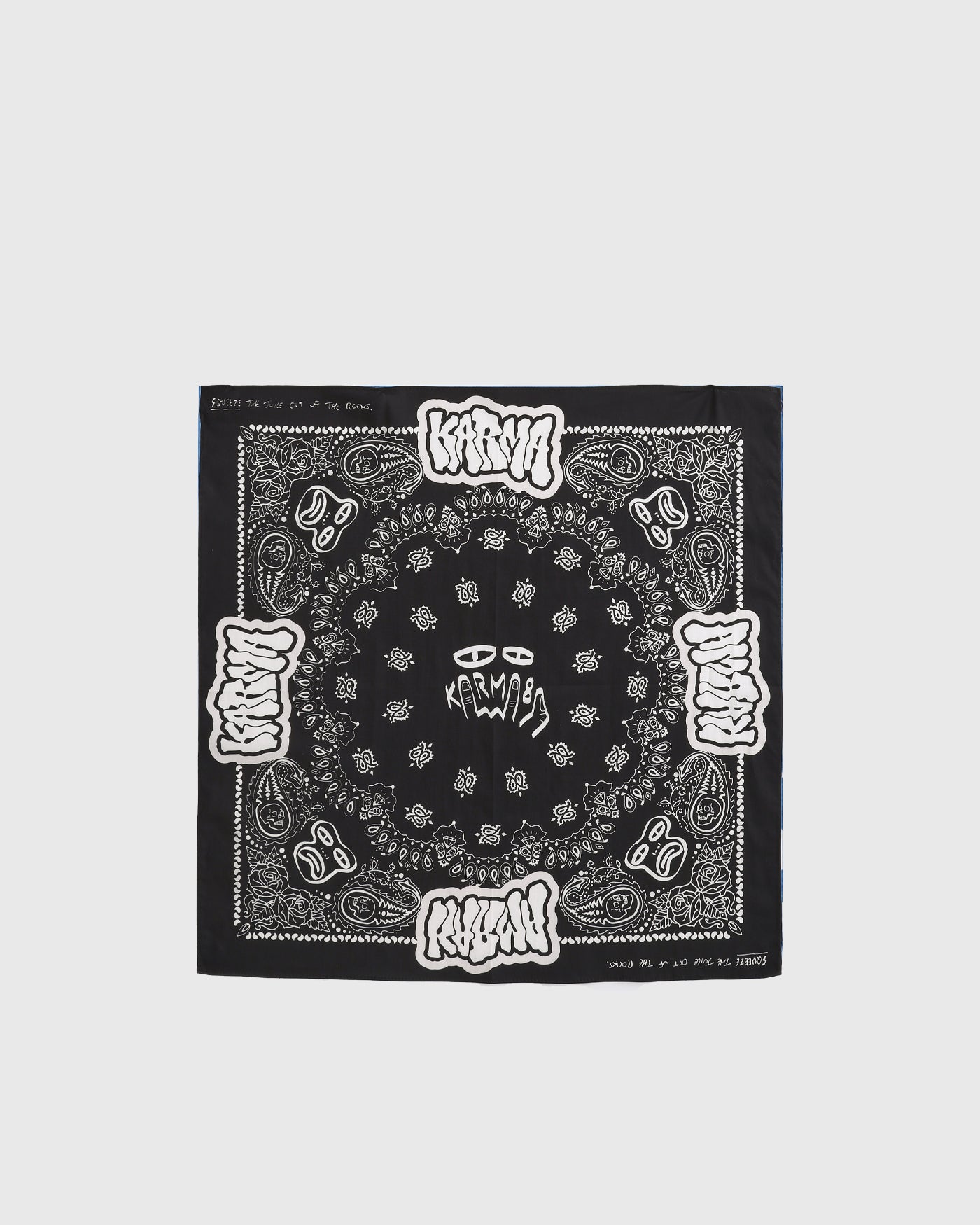 Paisley Bandana