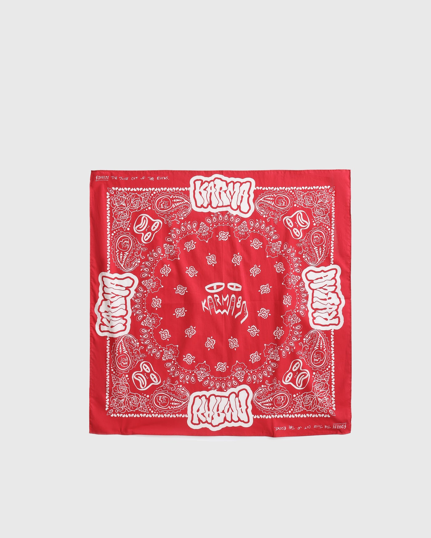Paisley Bandana