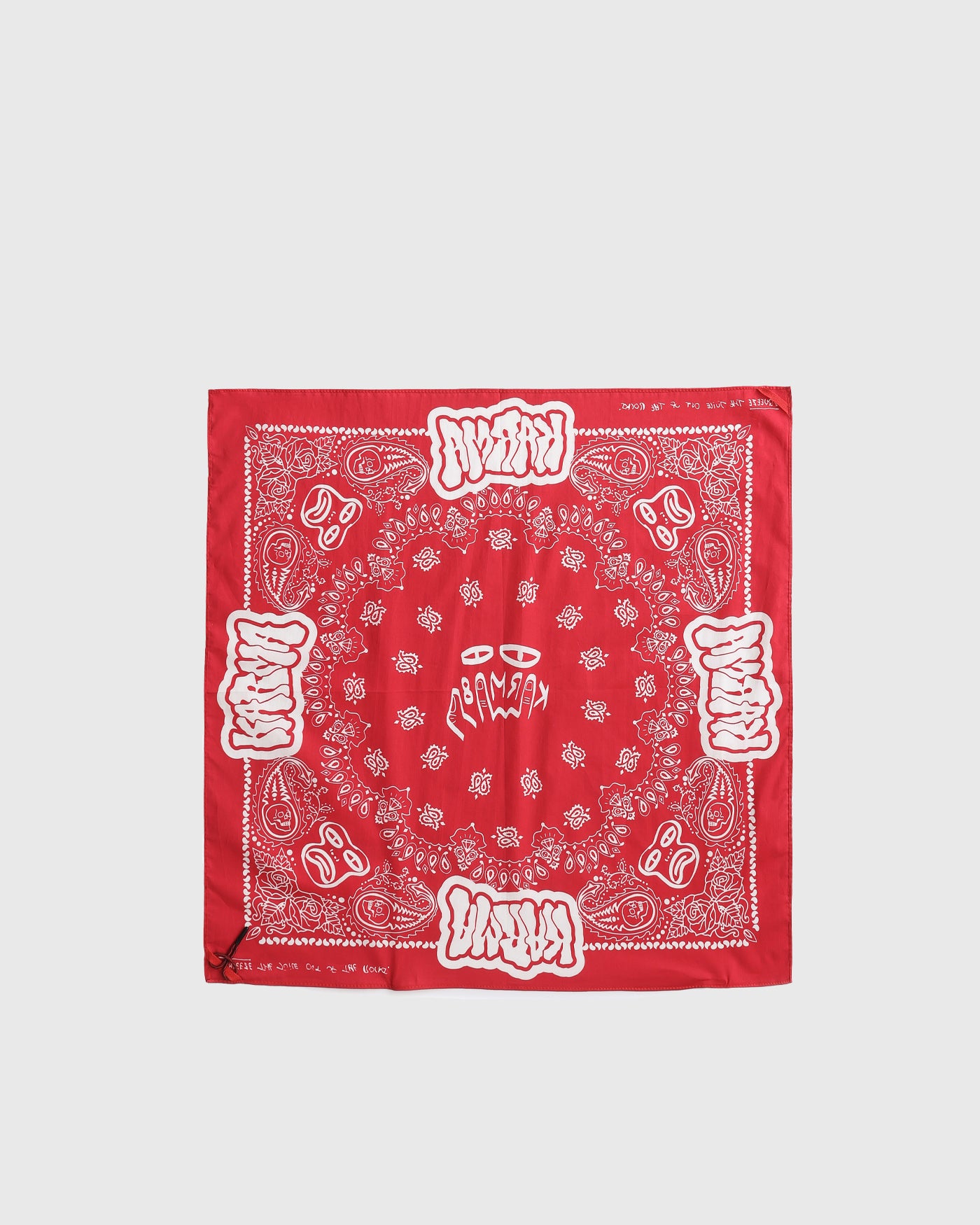 Paisley Bandana