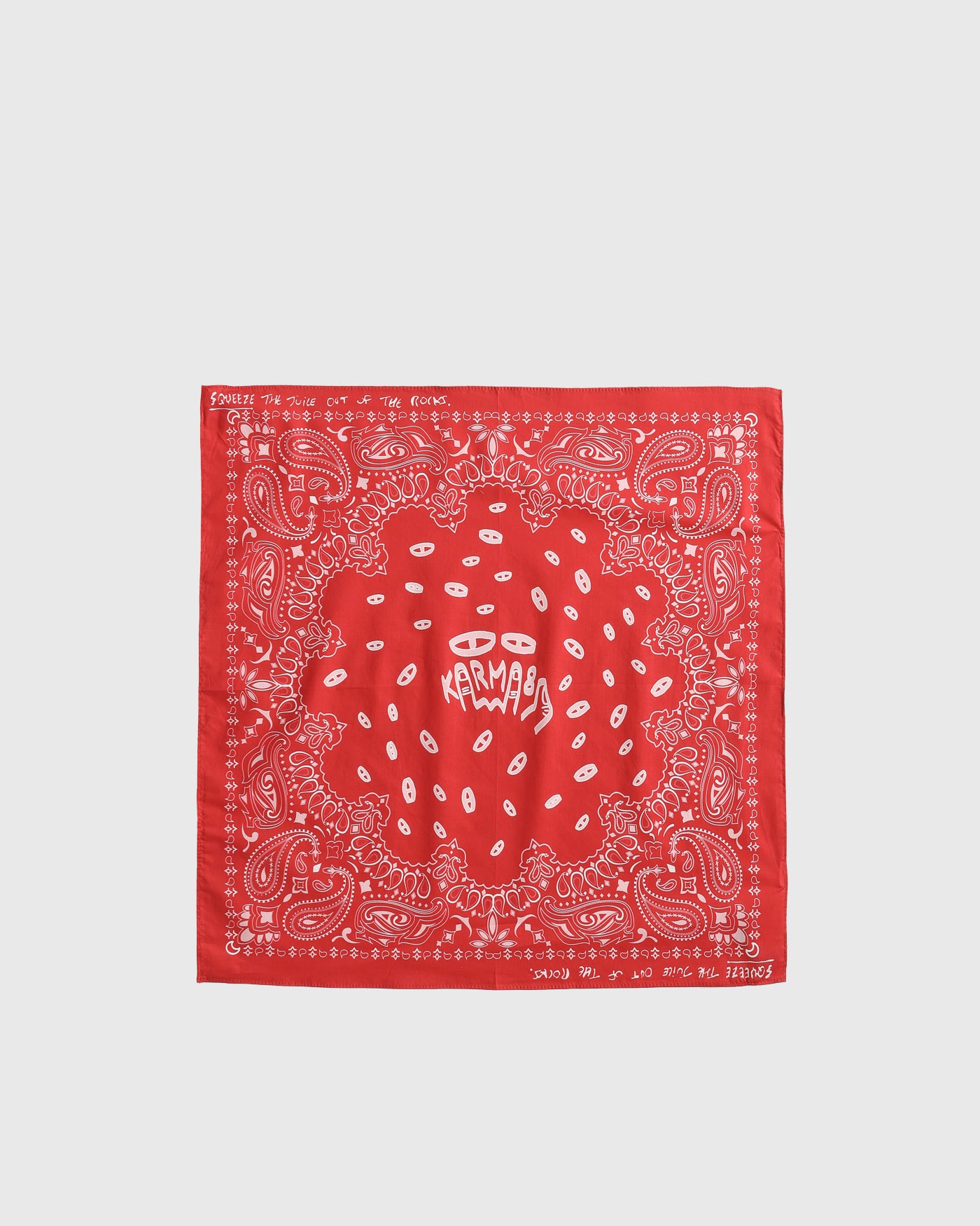 Paisley Bandana